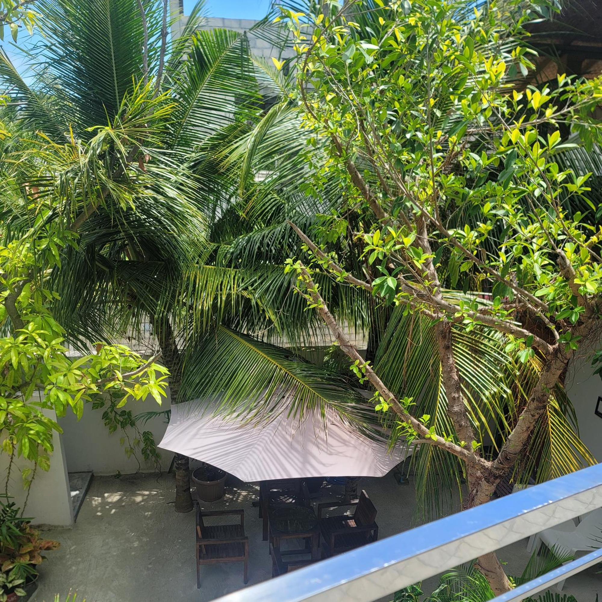 Palm Residence Rasdhoo Kamer foto